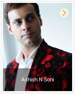 Ashish N Soni