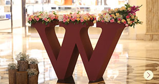 Women’s Day Celebrations at DLF Emporio