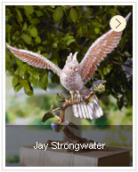 Jaystrongwater