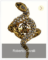 Roberto Cavalli