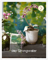 Jay Strongwater